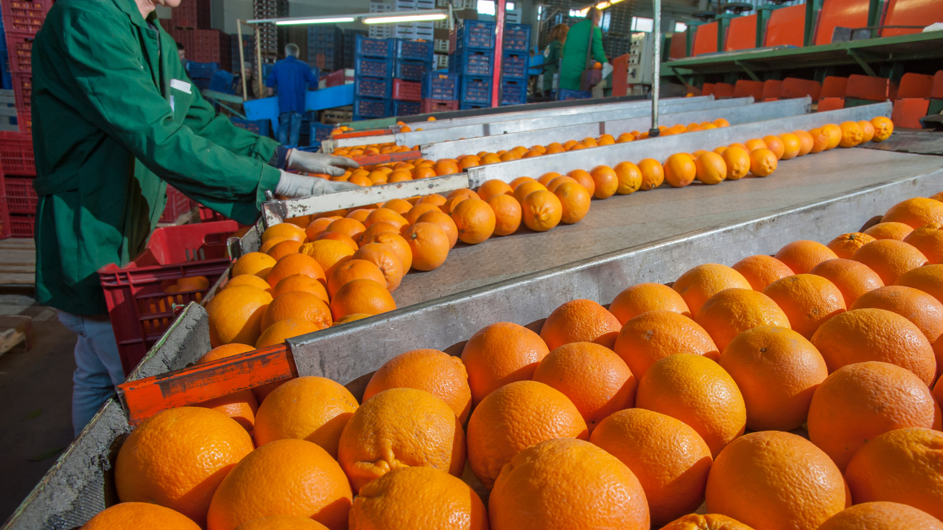 Operador de Aplicaciones Agroquímicas